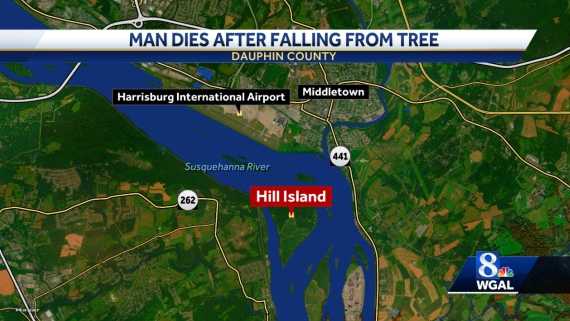 Man dies after falling from tree on Susquehanna River island