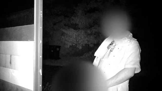 Man urinates on pride flag sign in Norton, Mass. - Vimarsana News