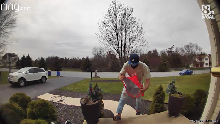 Police in York County seek package thief caught on camera
