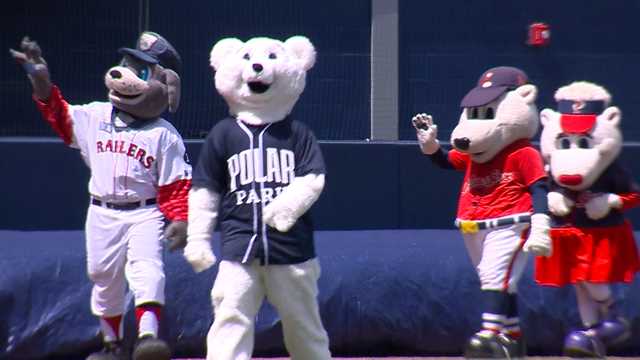 WORCESTER, MA - MAY 04: Woofster (right), the official rescue dog of Worcester  Red Sox mascot Smiley Ball (center), holds up a lightsaber for Star Wars  Night prior to game 2 of