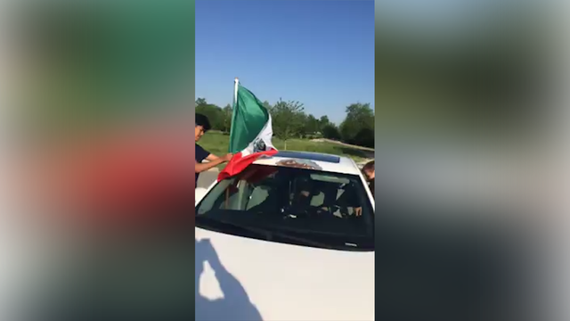 Mexico Dodgers Car Flag