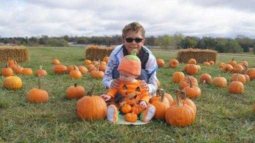 Mildale Farm Fall Fest in Edgerton perfect for the entire family