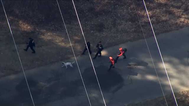 Massachusetts boy who went missing with his dog found safe - Vimarsana News