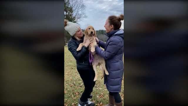 Puppy that ran away in Mass. on Christmas reunited with family - Vimarsana News