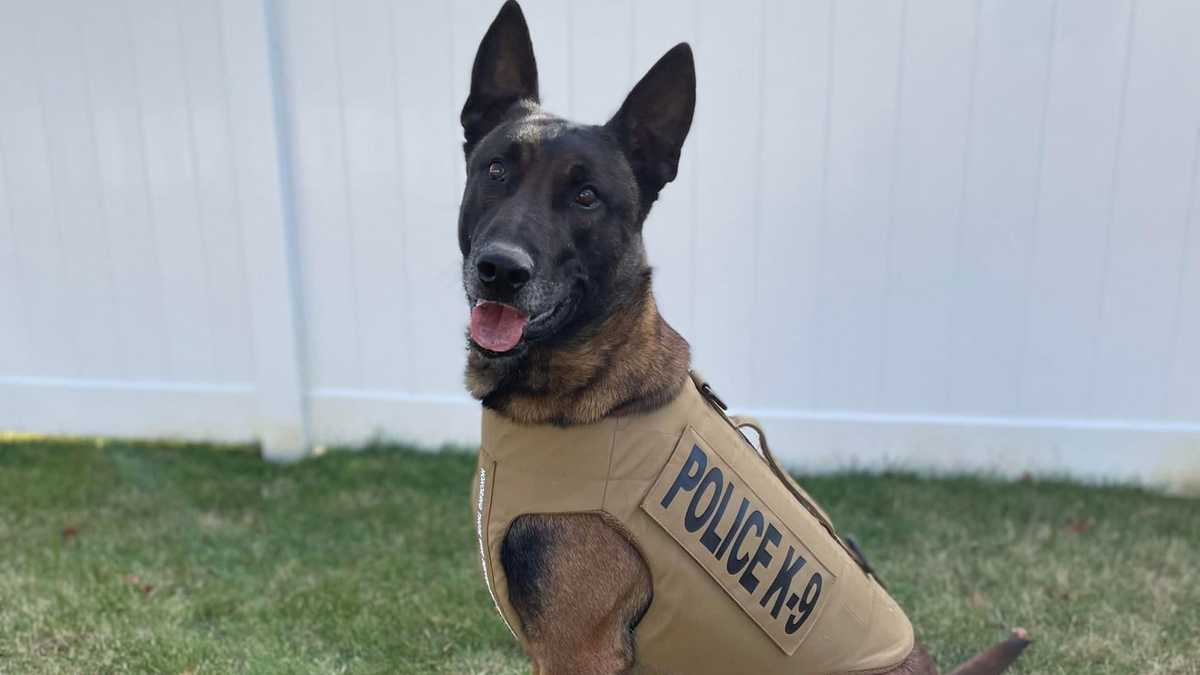 www.wcvb.com