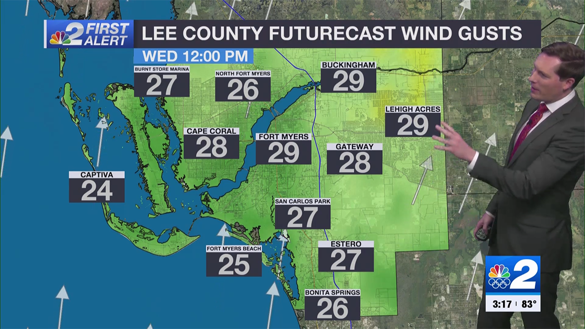 Wind advisory issued for Southwest Florida on Wednesday - Vimarsana News