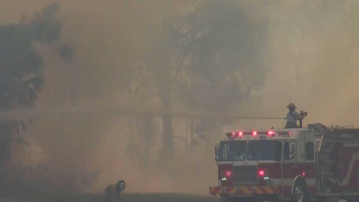 Florida residents reminded of brush fire risks during dry season - Vimarsana News