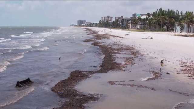 FMB mayor seeks clarity over FEMA flood insurance discount pull - Vimarsana News