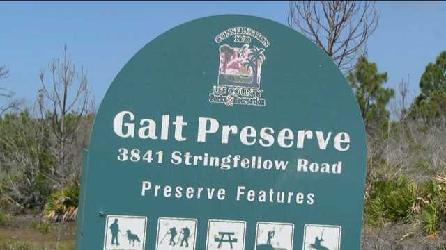 Fish kill reported at Galt Preserve in St. James City - Vimarsana News