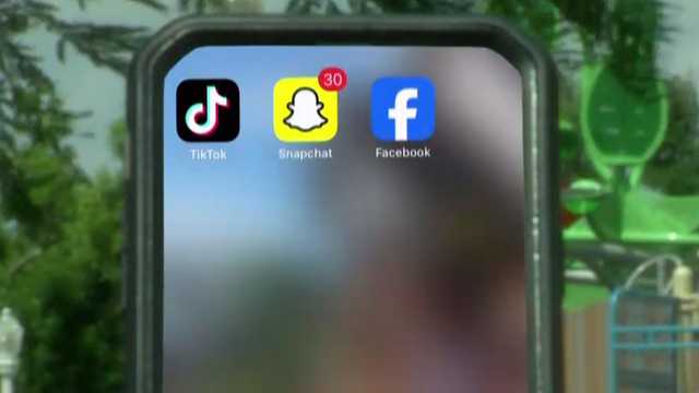 New Florida law aims to protect minors from social media dangers - Vimarsana News