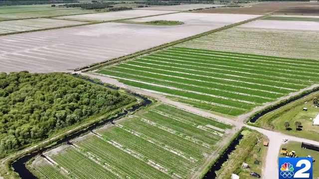 As Southwest Florida's population grows, farmland is at risk - Vimarsana News