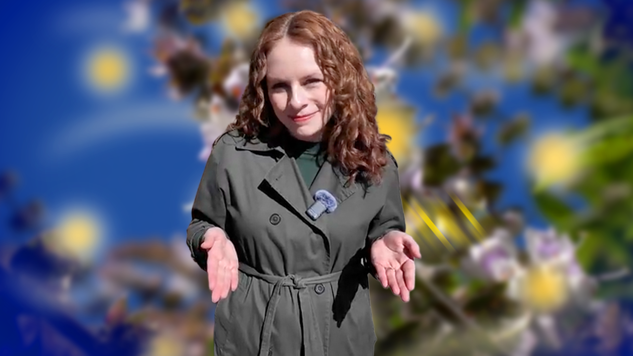 Are your spring allergies acting up? Try these easy, affordable expert-backed tips for quick relief