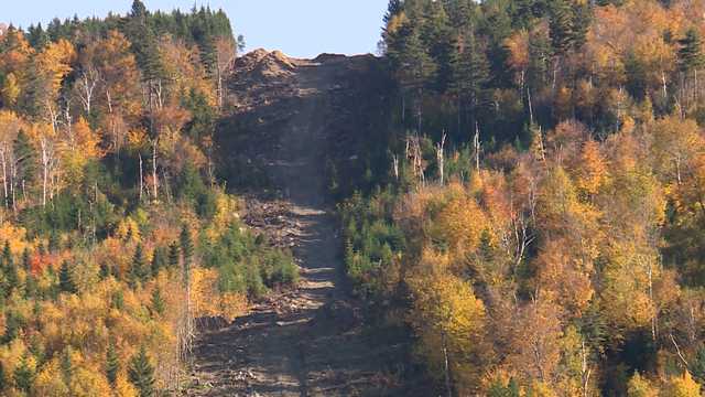 Maine voters approve Question 1 to ban CMP corridor - Vimarsana News