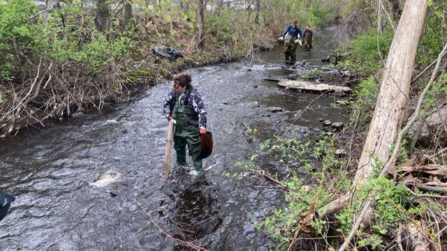 Environmental group cleaning up Neponset River ahead of Earth Day - Vimarsana News