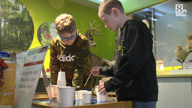 Cool science all week at Lancaster museum - Vimarsana News
