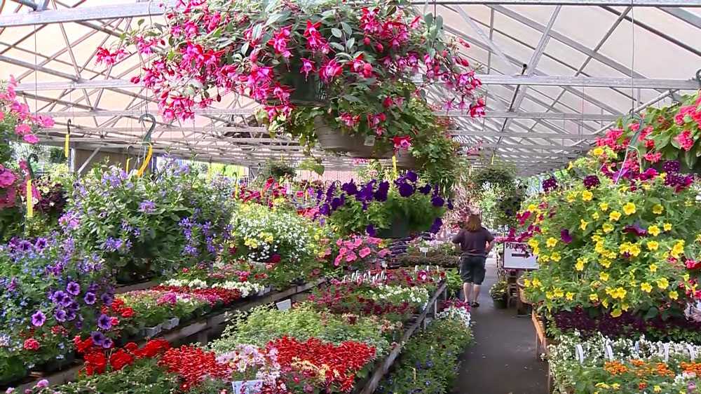 Garden centers get weather they've been waiting for on Memorial Day weekend