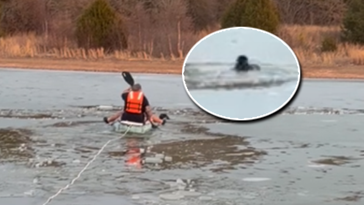 koco.com - Jonathan Greco - WATCH: Viewer video shows OKC firefighters rescuing dog from frozen pond