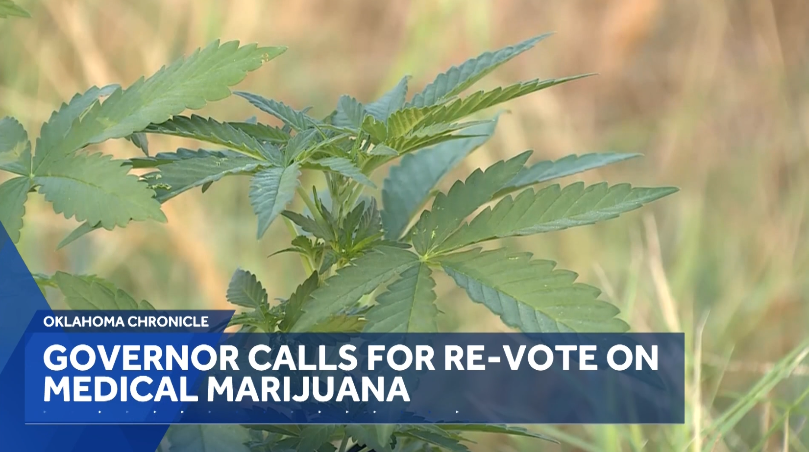 koco.com - Evan Onstot - Oklahoma Chronicle: Gov. Kevin Stitt aims to 'shut down' medical marijuana industry