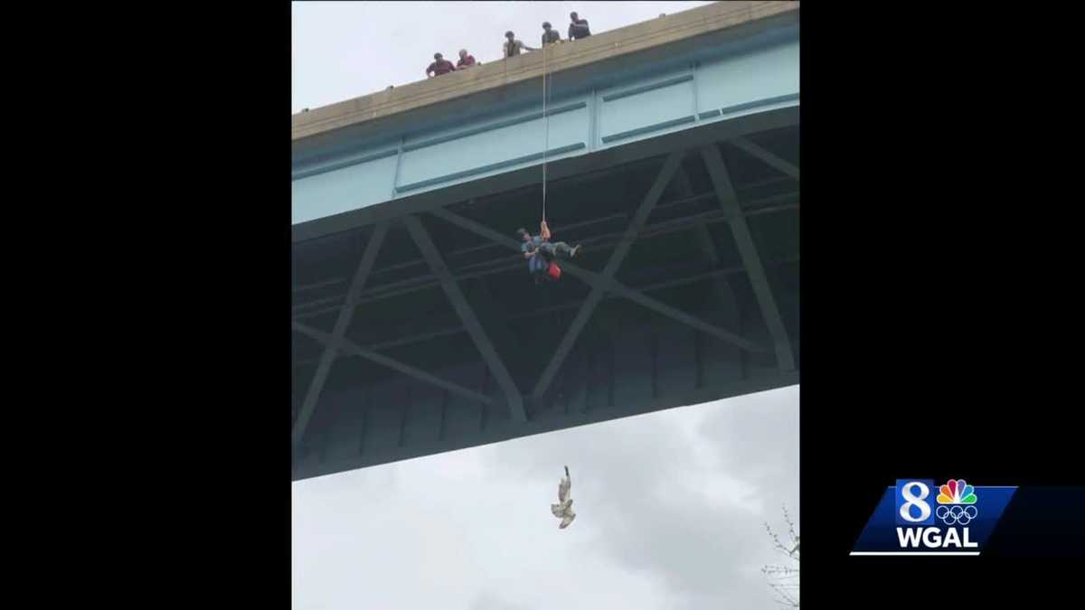 Central Pennsylvania crews rescue osprey tangled in fishing line