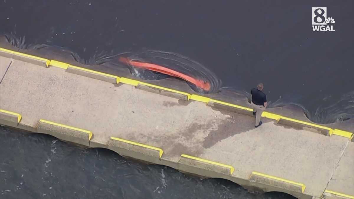 Missing park ranger found dead in creek