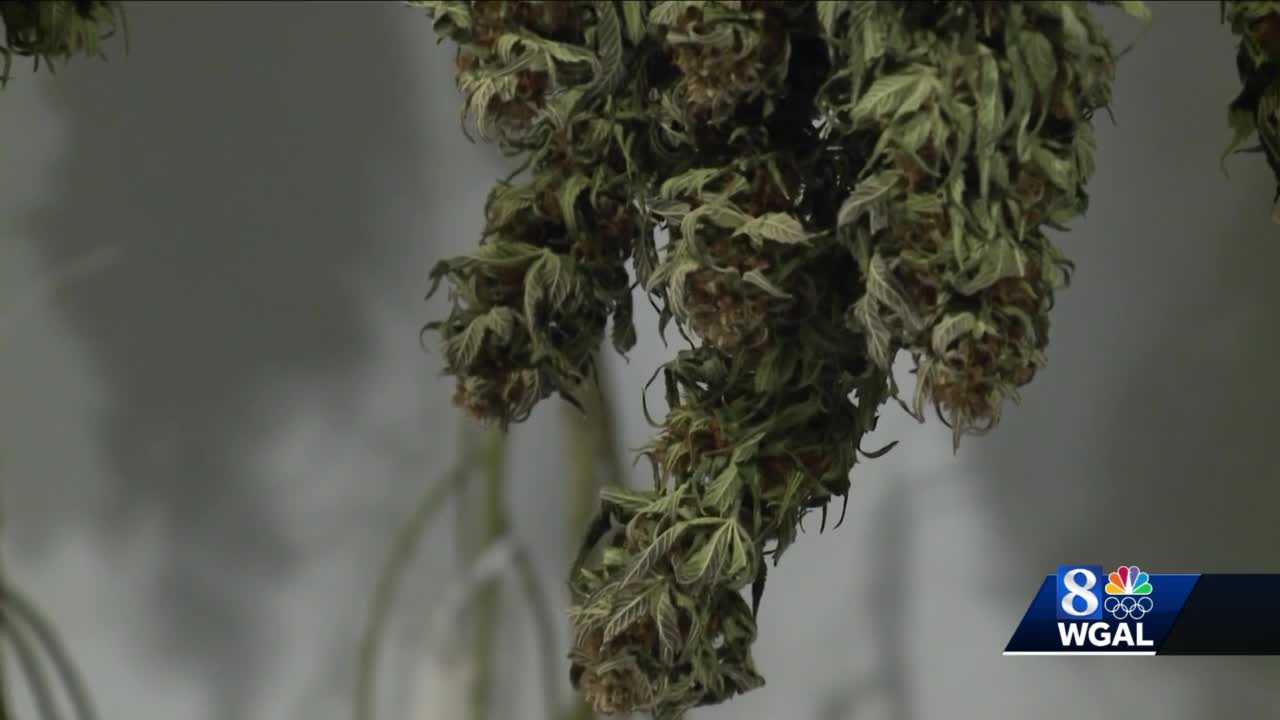 PENNSYLVANIA LAWMAKERS Consider Bill To Legalize Recreational Marijuana