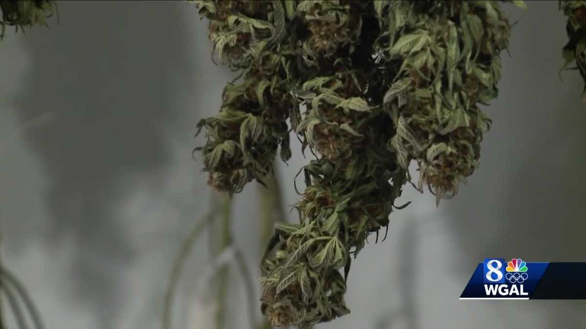 PENNSYLVANIA LAWMAKERS consider bill to legalize recreational marijuana