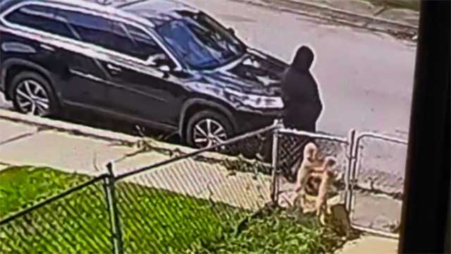 Baltimore police release video of person after poodle stolen - Vimarsana News