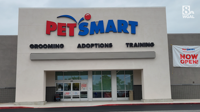 Petsmart best sale grooming center