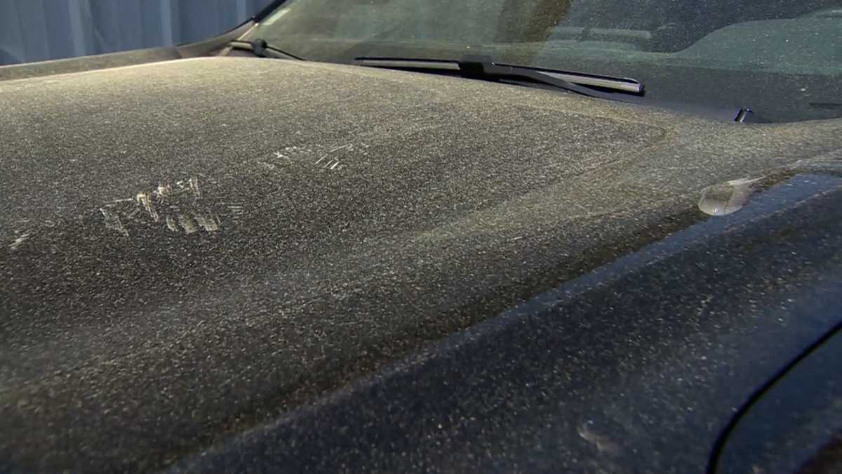 Yellow-green pollen that's all over Mass. likely isn't triggering allergies