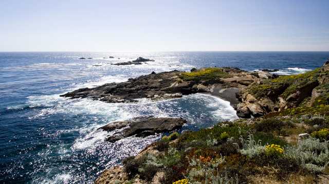 Point Lobos to remain closed for damage assessments - Vimarsana News