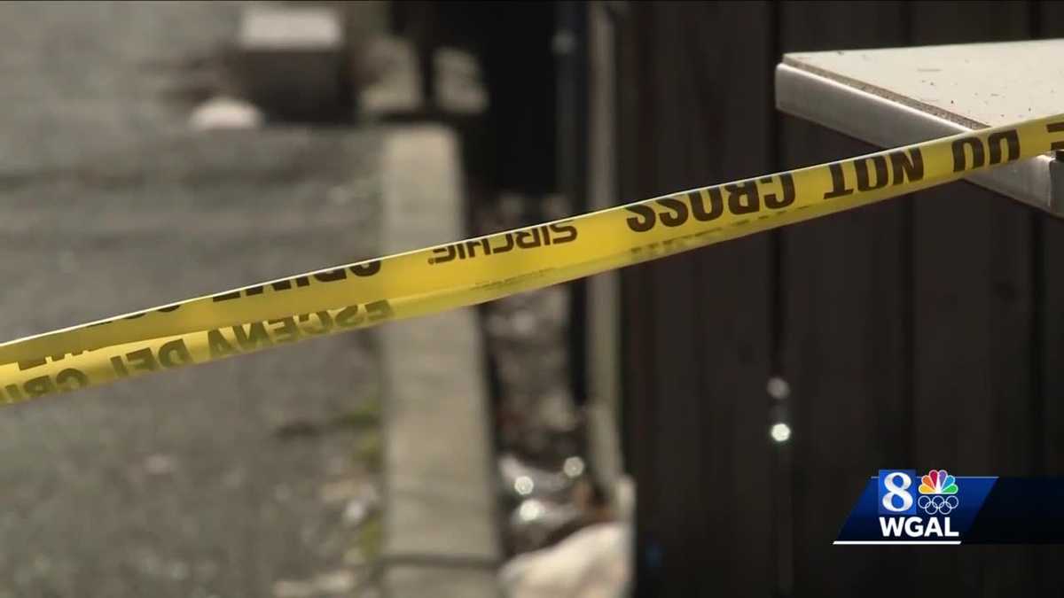 York saw record number of homicides in 2019