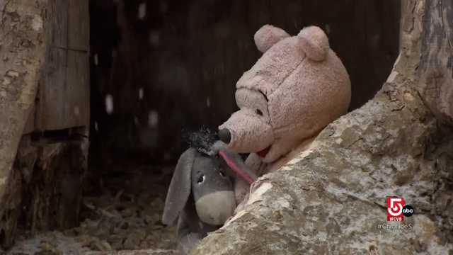 How Winnie the Pooh came to have a home in Massachusetts - Vimarsana News