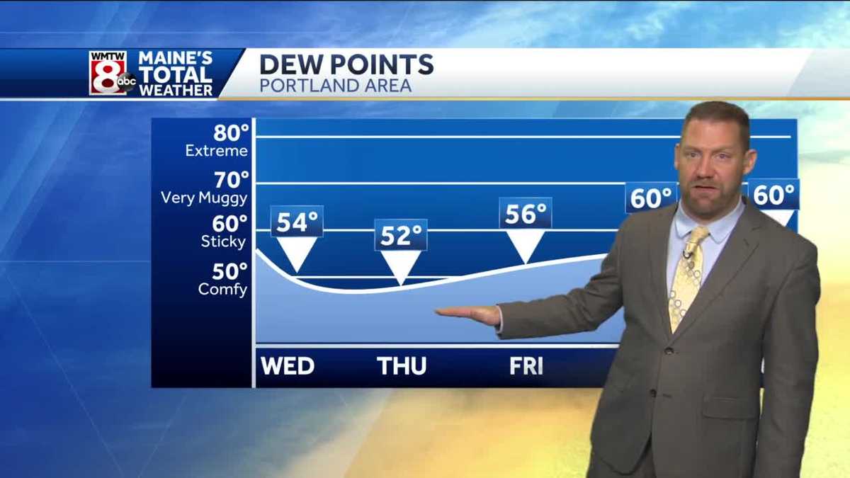 Sunshine and getting warmer