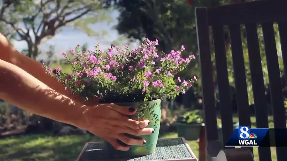 Now that it’s spring, it’s a great time to try gardening