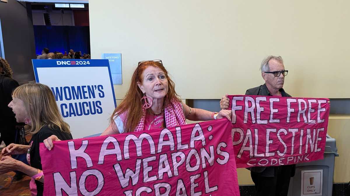 Protestors interrupt Gov. Tim Walz speech at DNC caucus meeting