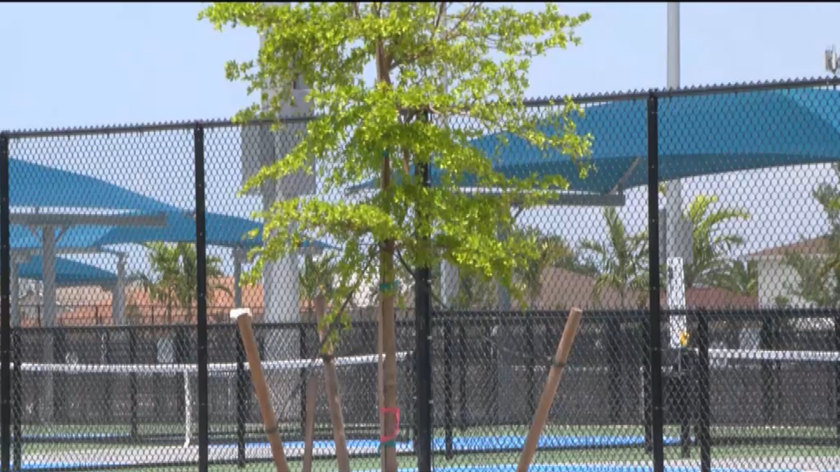 Court fees make Cape Coral pickleballers hesitant to play - Vimarsana News