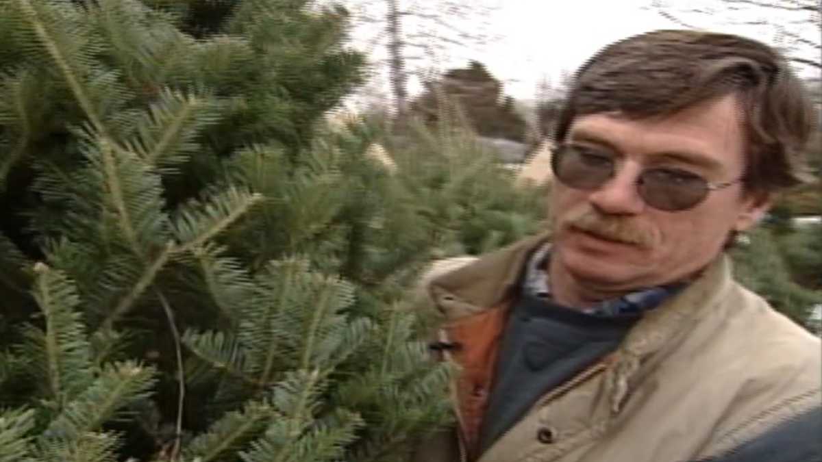 Vermont families hunt for the perfect Christmas tree in 2002