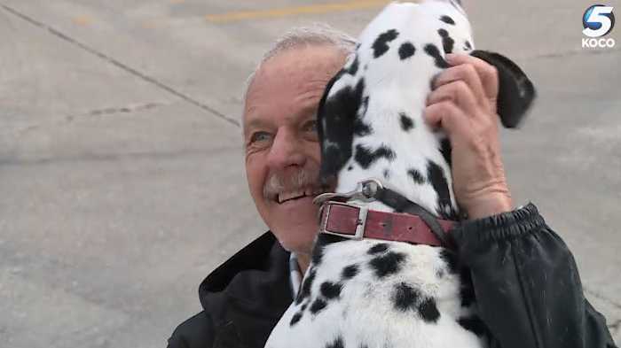 'Oh, it's just thrilling:' Man reunited with missing dog after car was ...