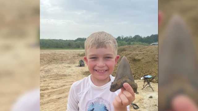 Lebanon County boy finds prehistoric shark tooth - Vimarsana News