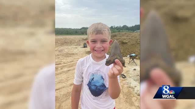 Lebanon County boy finds prehistoric shark tooth - Vimarsana News