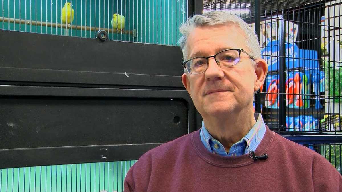 'What happened to our birds?' Pet store owner says thieves stole more