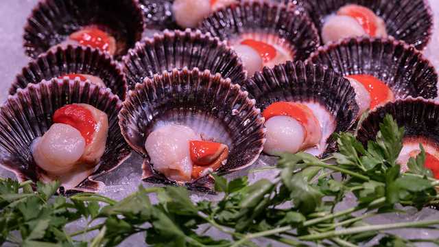 Scallops thought to be harvested from prohibited area of Mass., FDA says - Vimarsana News