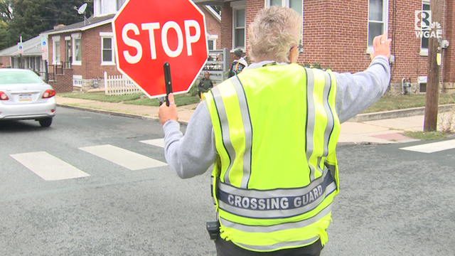 The Crossing Guard | Orange Bralette