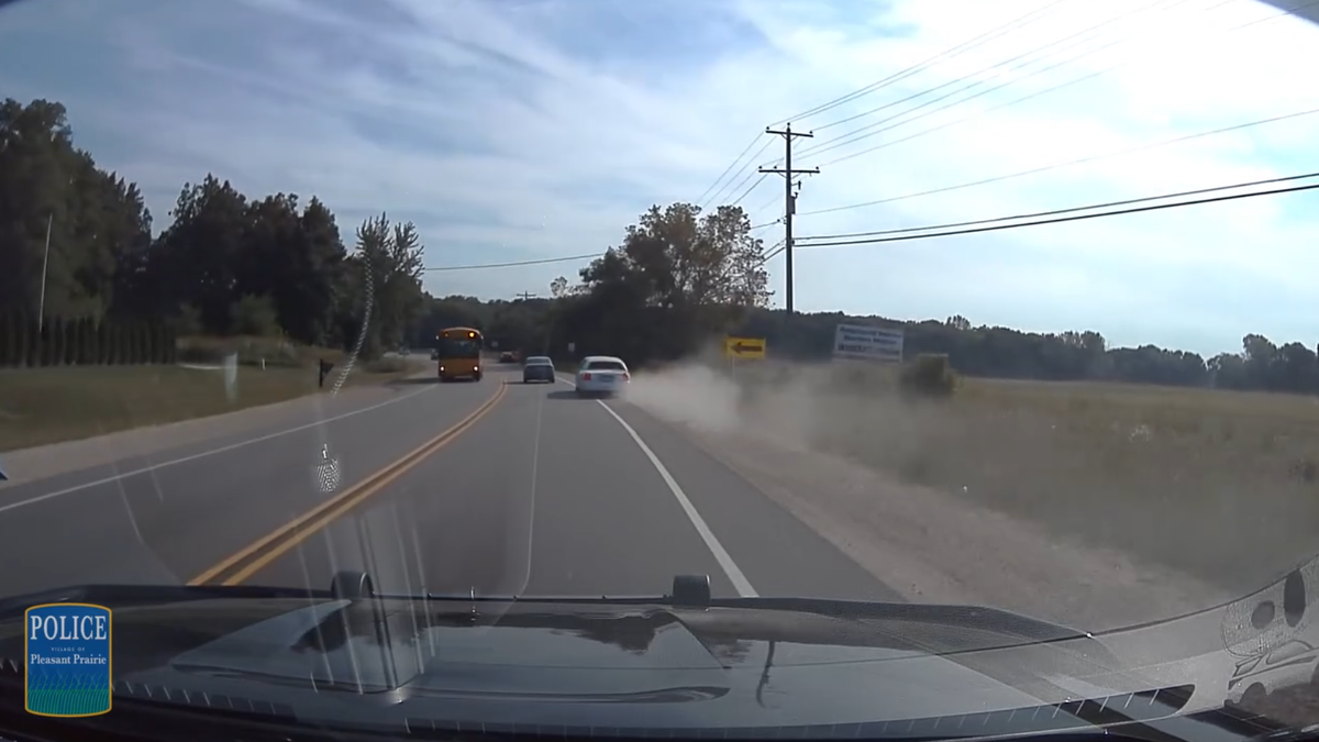 Police pursue limousine, K9 helps takes down driver in Pleasant Prairie