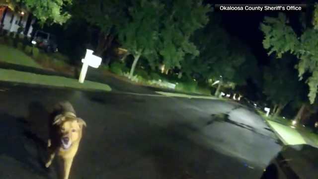 WATCH: Bodycam video shows Eeyore the dog lead a deputy to his missing 86-year-old grandma