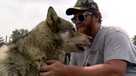 WI: WOLFDOGS HELP VETERANS WITH PTSD