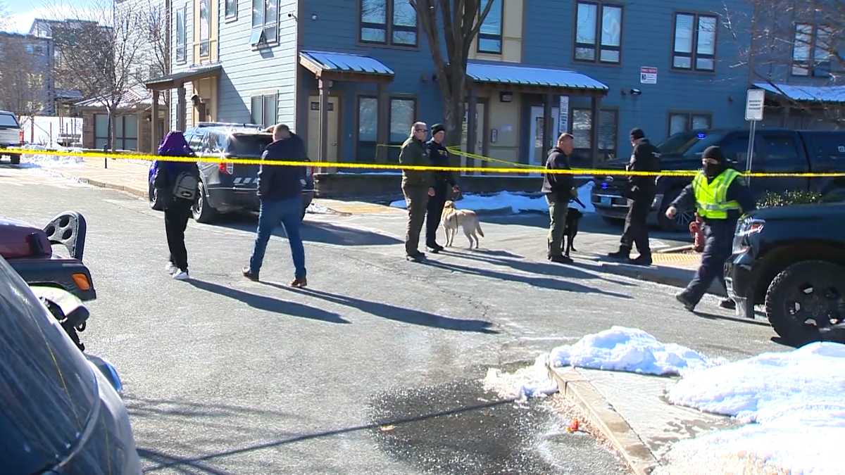 At least 3 in custody after shooting at Somerville housing development