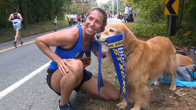 Dog who loves Boston Marathon being treated for another tumor - Vimarsana News