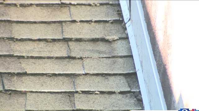 Dirty roof could result in insurance cancellation notice - Vimarsana News
