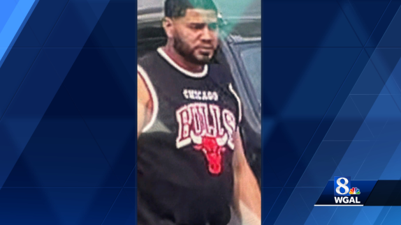 Police in York County seek man who fired shots into air
